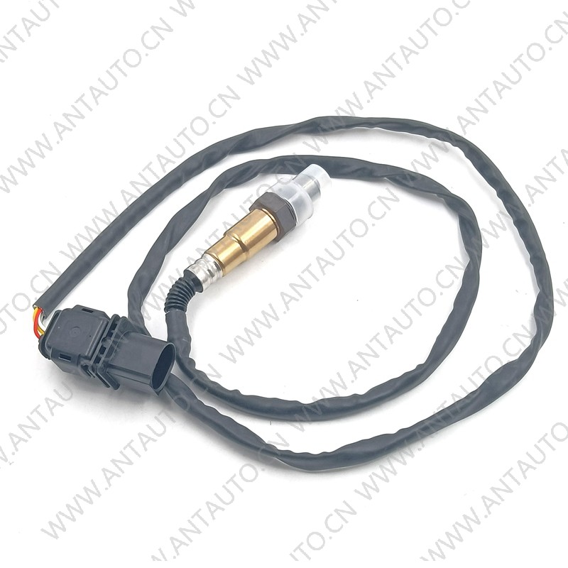 Oxygen sensor