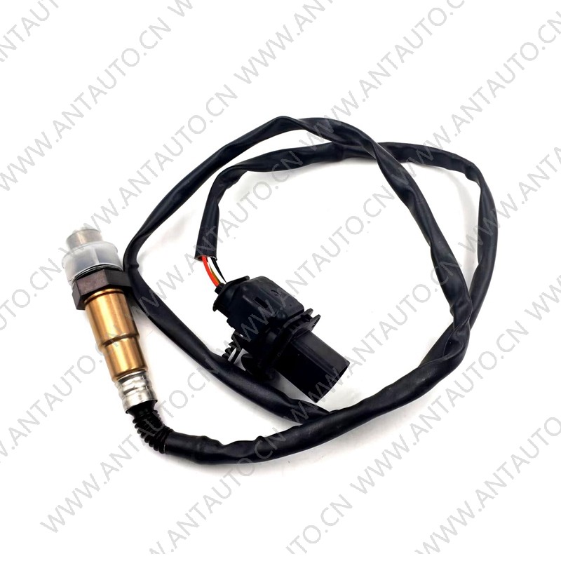 Oxygen sensor